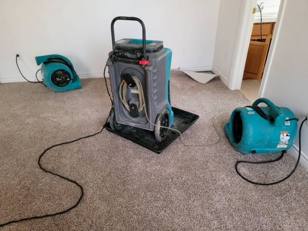 Best Ceiling water damage repair  in Alsip, IL