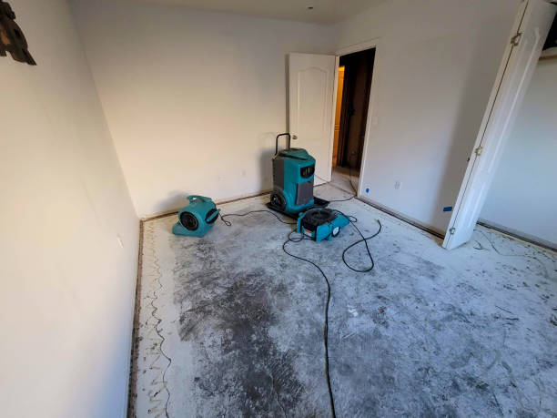 Best Fire Damage Restoration  in Alsip, IL
