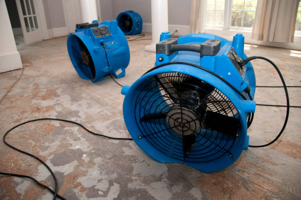 Best Water damage restoration company  in Alsip, IL