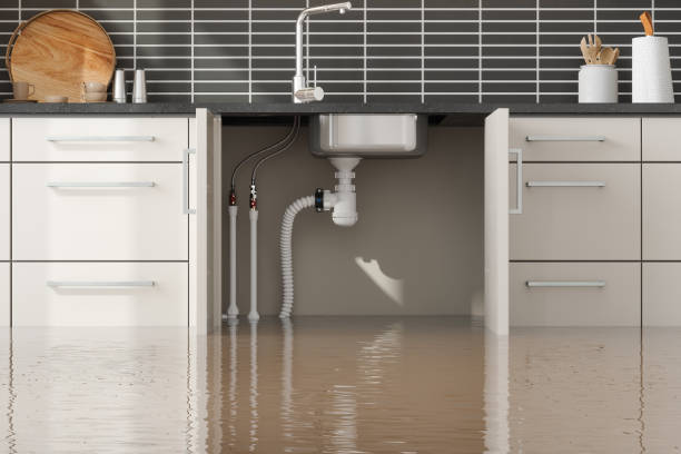 Best Fire Damage Restoration  in Alsip, IL