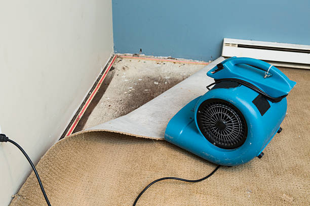 Best Ceiling water damage repair  in Alsip, IL