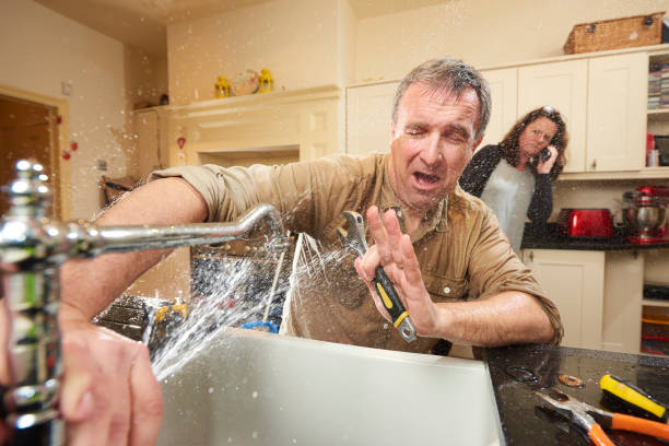 Best Carpet water damage restoration  in Alsip, IL